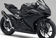 Tips Perawatan CB250RR