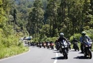 Brotherspeed Camp CBR Jatim, Tanam Bibit Pohon di Magetan